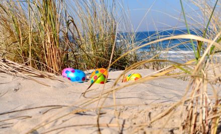 Ostereier in den Dünen der Ostsee | © textag - stock.adobe.com
