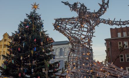 Stralsunder Weihnachtsmarkt | © Stephan Sühling - stock.adobe.com