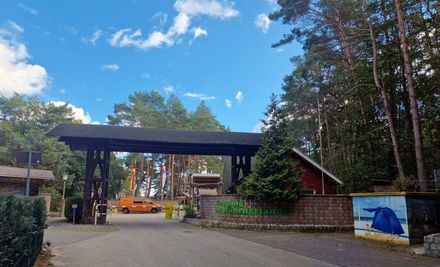 "Freie Bühne" mit Helling am Campingplatz | © 20220901_095136.jpg