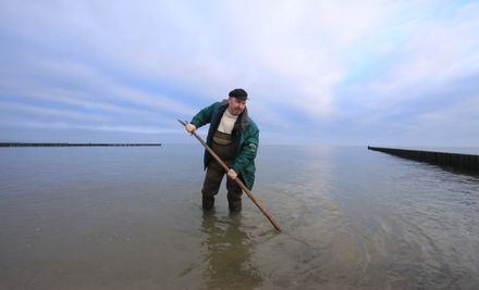 Geführte Bernsteinsuche am Strand mit Thomas Reich | © Bernsteinsuche