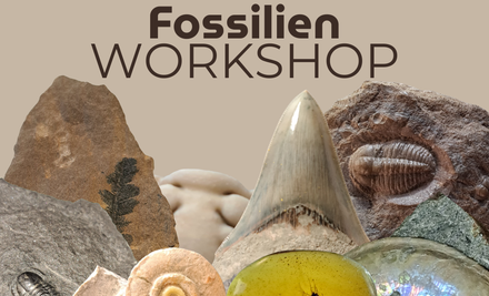 Fossiliensammlerworkshop IMX (1) | © Ronald Klafack