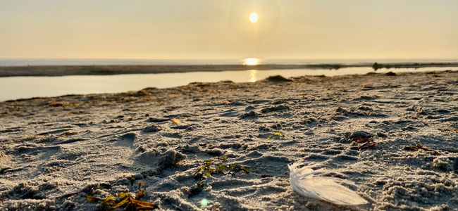 Strand bei Trassenheide