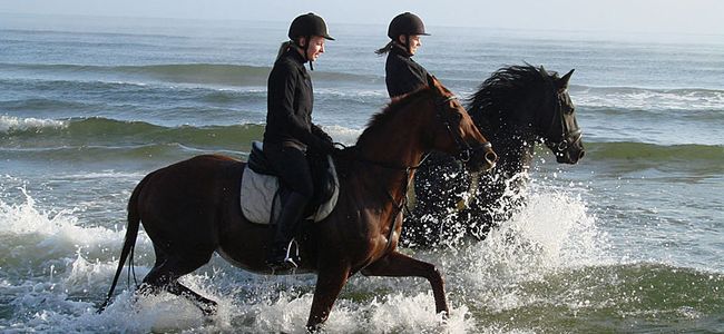 Reiten an der Ostsee