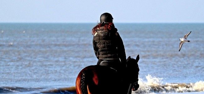 Reiten am Ostseestrand
