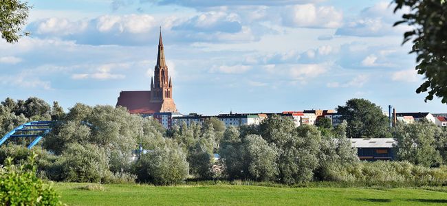 grüne Wiese mit kurzem Gras, im Hintergrund begrünte Bäume, eine Brücke mit blauem Metallgeländer und die Kirche von Demmin