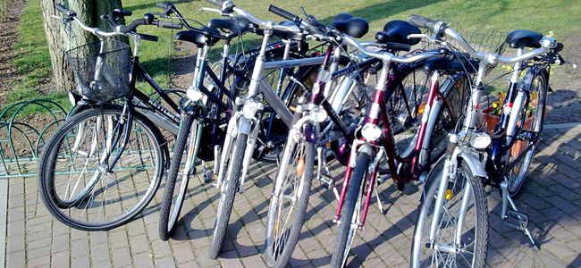 Fahrradverleih im Ferienpark