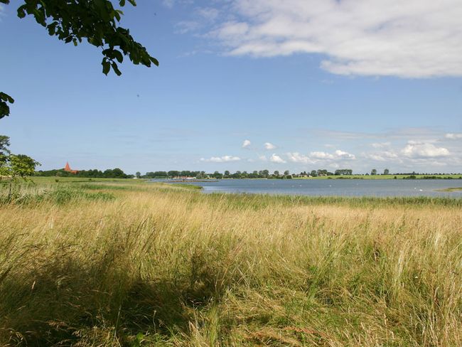 Fauler See Rustwerder Poel