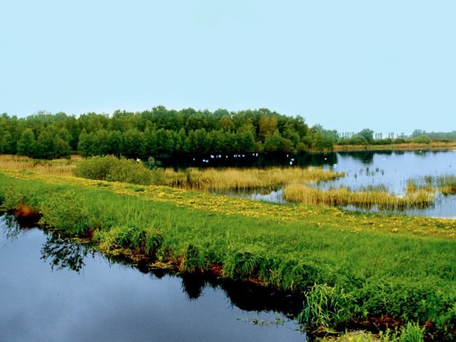 Aussichtspunkt Dütschower Brücke