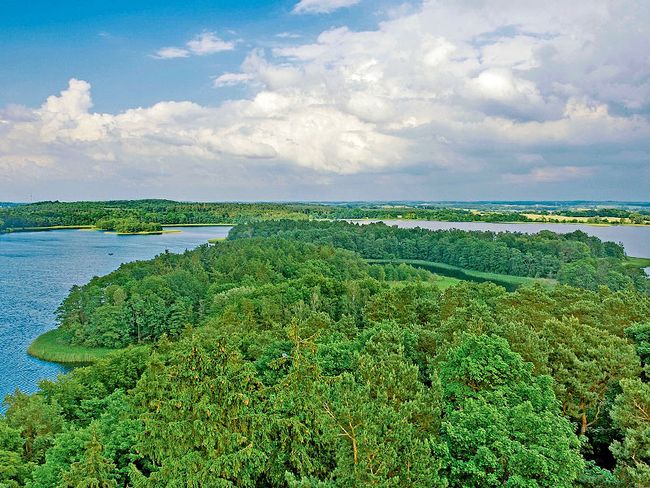 Naturpark Nossentiner/Schwinzer Heide