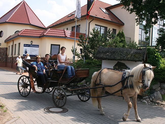 Angebote für Pferdefreunde vom Landhotel Borstel-Treff