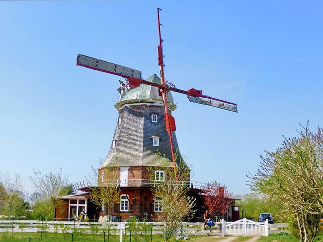 Galerieholländermühle Neubukow
