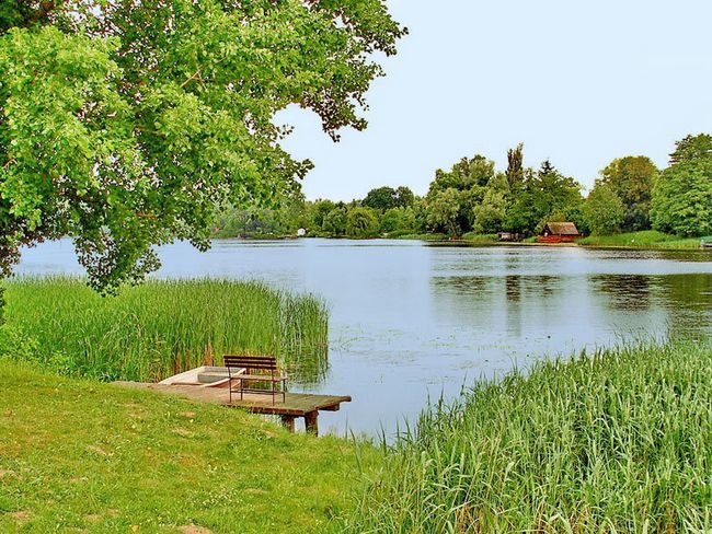 Klostersee Dargun | mvp.de