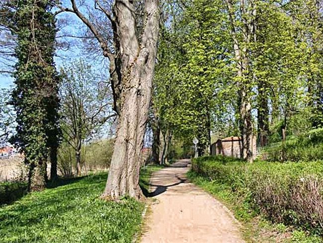 Engelscher Garten
