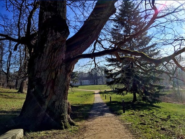 Schlosspark Putbus | mvp.de
