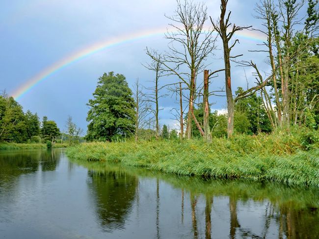 Die Peene | Hansestadt Demmin