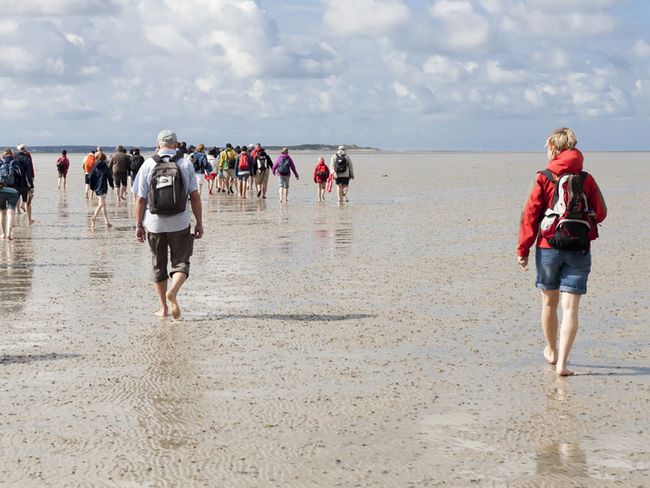 Wattwanderung auf der Insel Sylt | FPM-BERLIN - stock.adobe.com