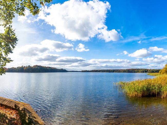 Dobbertiner See | pure-life-pictures - stock.adobe.com