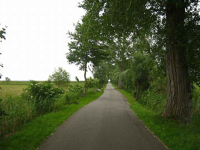 Naturlehrpfad August Bartelt | Botaurus - Wikipedia