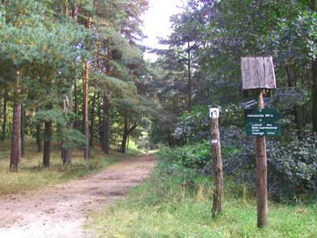 Rundwanderweg Eggesiner See
