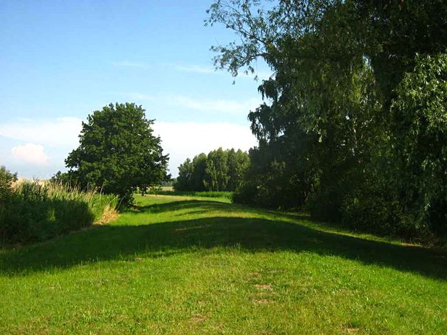 Naturpark Stettiner Haff - Besucherzentrum | Botaurus - Wikipedia