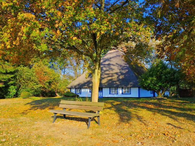 Freesenort im Herbst | © LianeM
