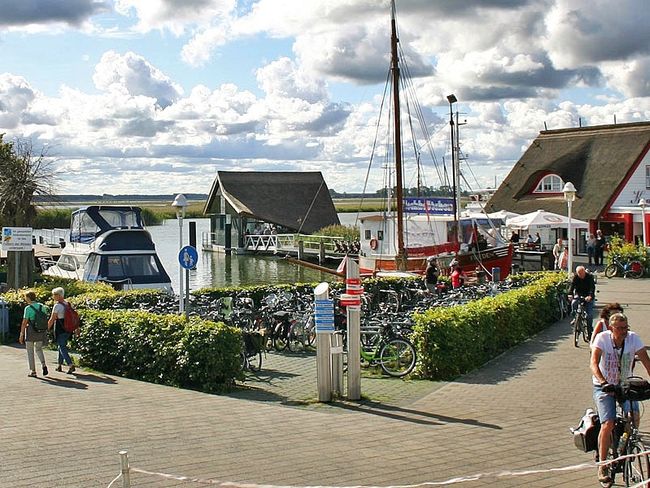 Hafen Zingst