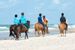 Reiten/ Strandausritte auf der Insel Sylt | FEEDBACK WERBEAGENTUR GMBH - stock.adobe.com