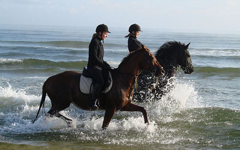 Reiten an der Ostsee
