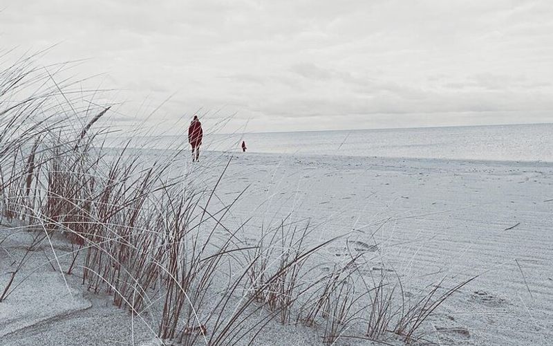 Ostseestrand im Winter
