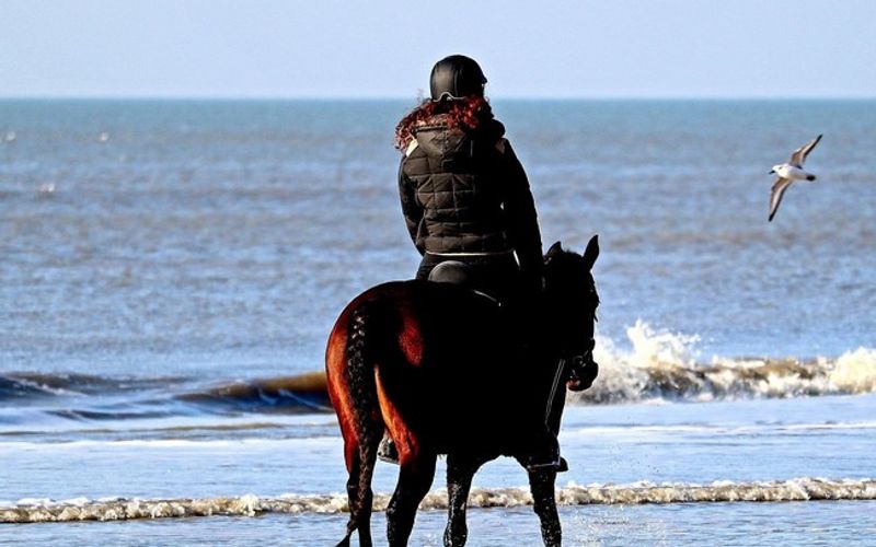 Reiten am Ostseestrand