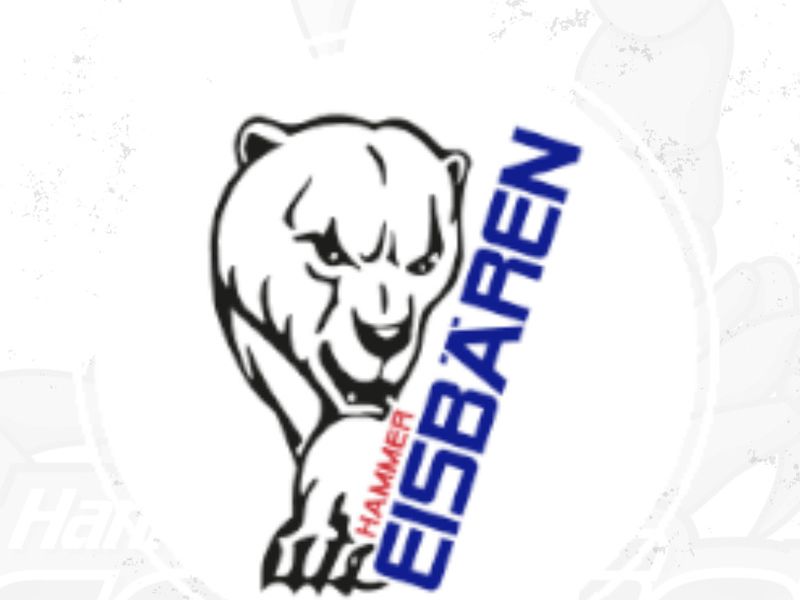 Hannover Scorpions Eishockey GmbH