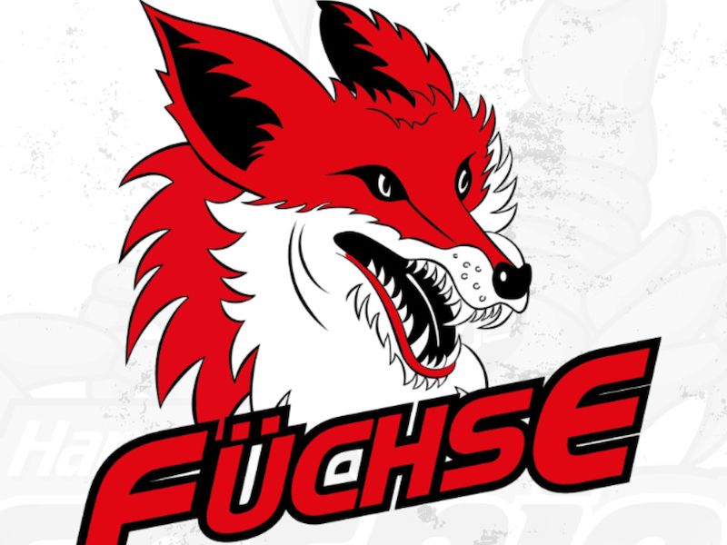 Hannover Scorpions Eishockey GmbH