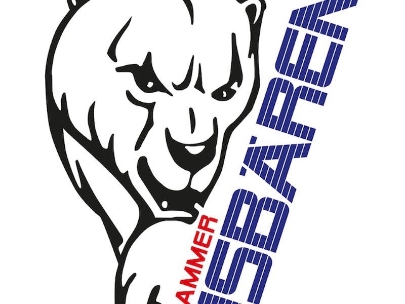 Hammer Eisbären
