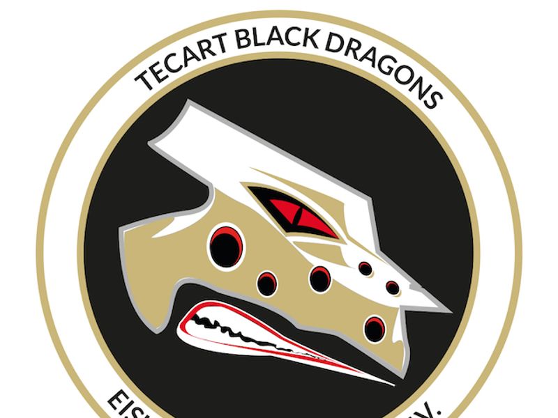 TecArt Black Dragons Erfurt