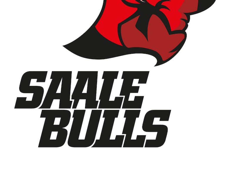 Saale Bulls Halle