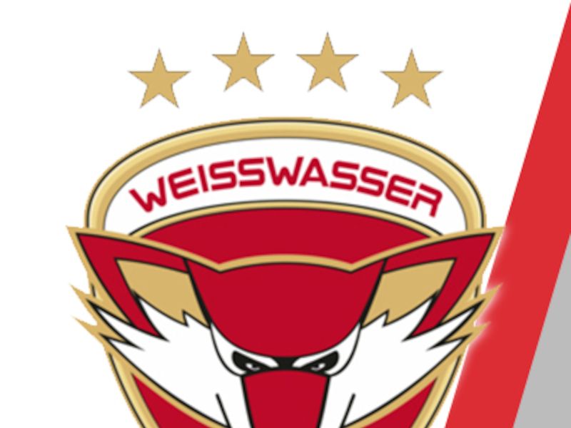 Eishockey-Club Freiburg e.V.