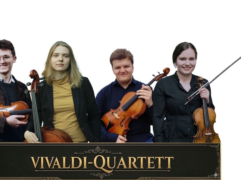 Viola Breuer