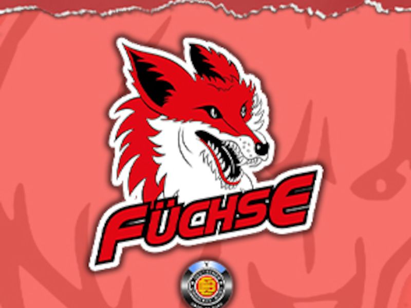 Hammer Eisbären