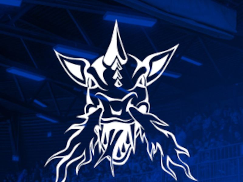 VfL SparkassenStars Bochum