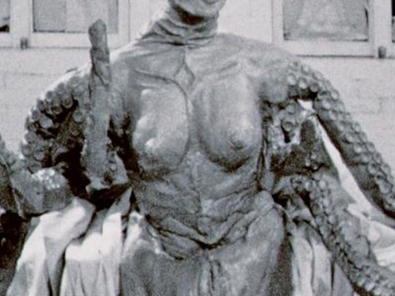HIQFF Querbild e.V.