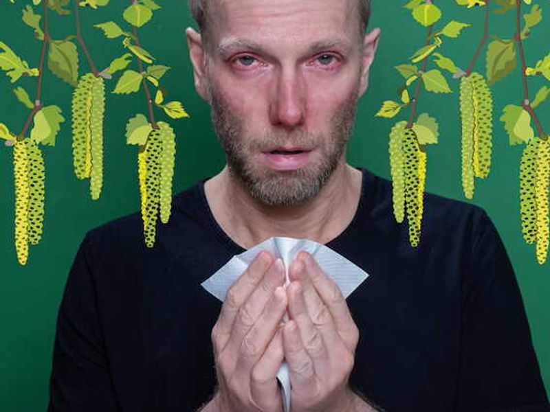 Sven Hagolani