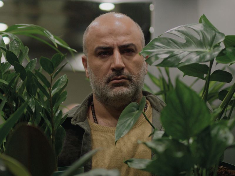 IFFMH – Filmfestival Mannheim gGmbH