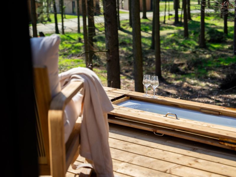 «Koya Tiny Cabin» – Wilsumer Berge