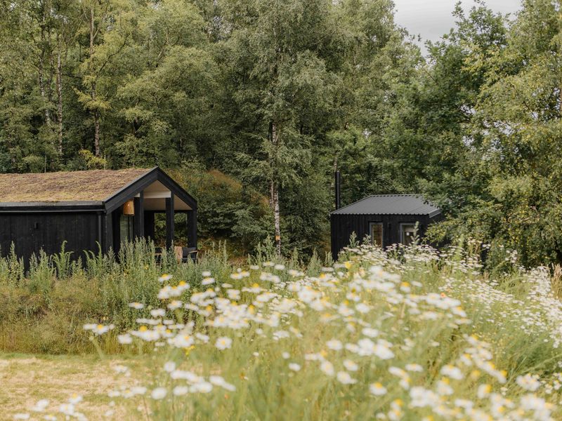 «The Hills &» – Wilsumer Berge