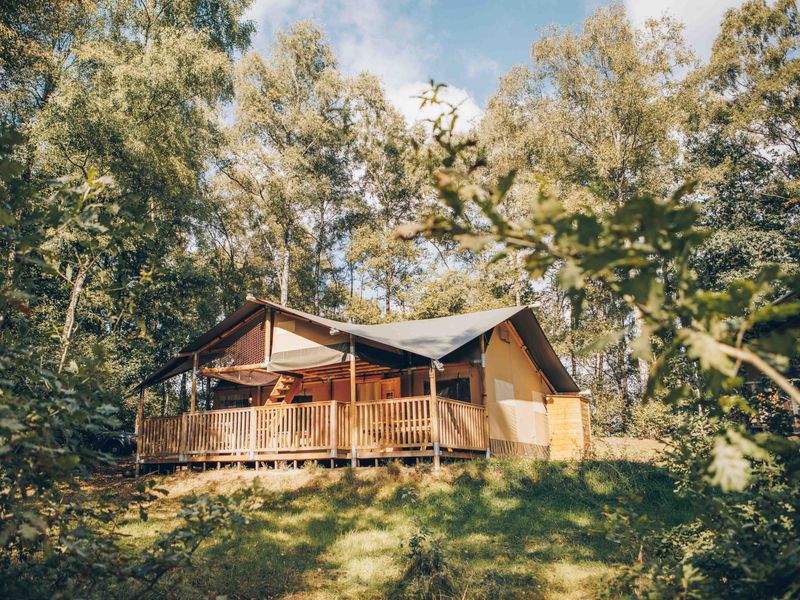 Safarizelt – Wilsumer Berge