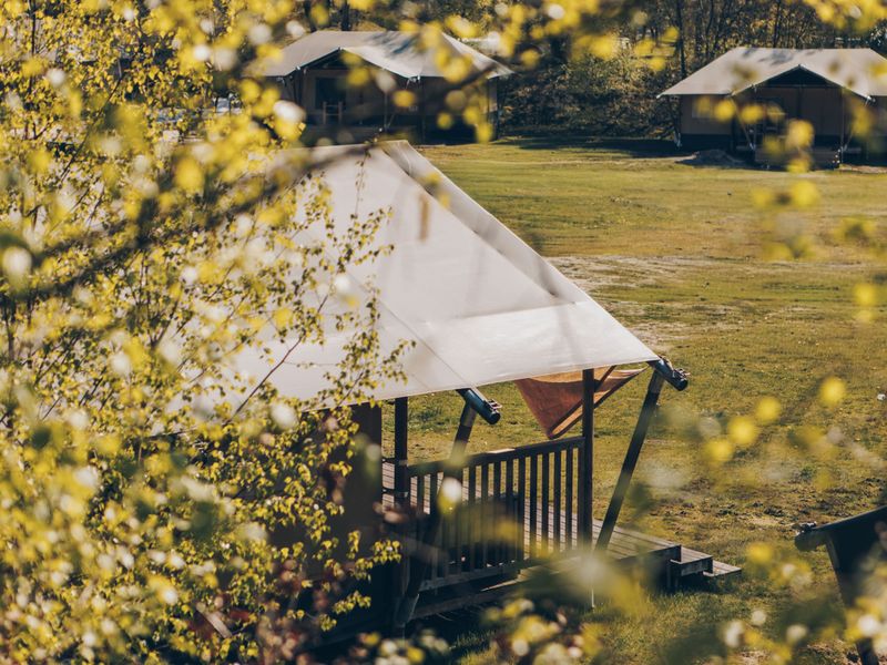 «Glamfield Lodge II» – Wilsumer Berge