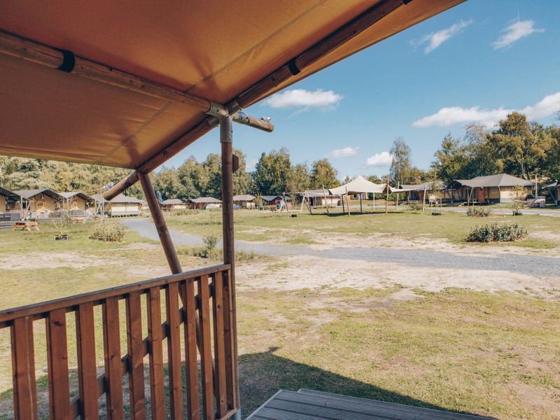 «Glamfield Lodge» – Wilsumer Berge