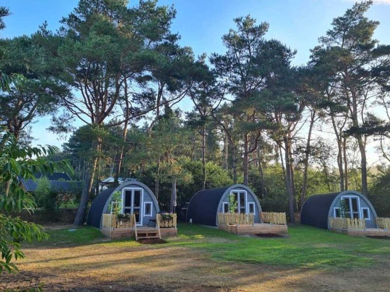 «Woodlodge» – Wilsumer Berge