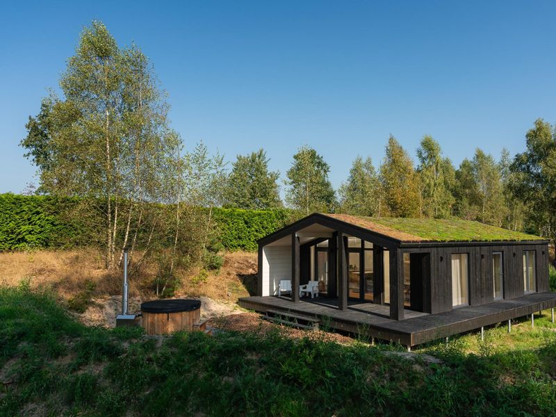 «Hills» – Wilsumer Berge