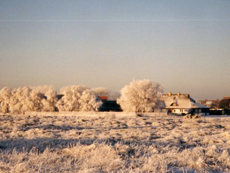 Winter auf Hiddensee